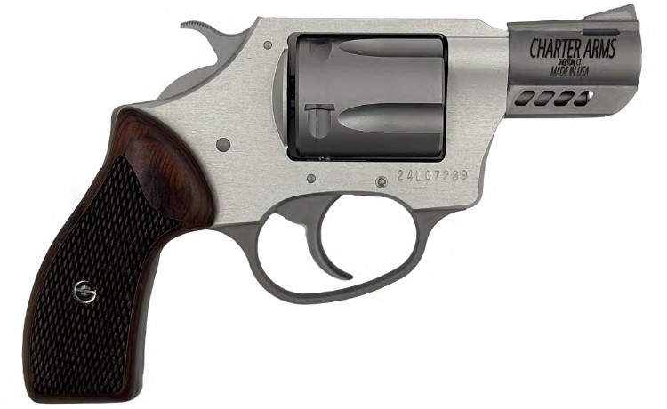 CHARTER ARMS COYOTE .380 ACP 5RD 2IN BARREL 2 MOON CLIPS INCLUDED SILVER 53802 - Taurus Savings